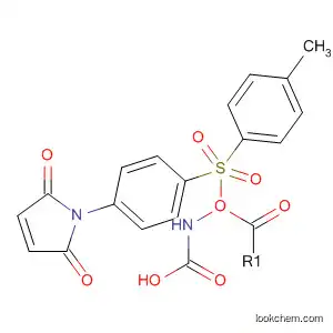Molecular Structure of 47535-18-2 (Carbamic acid, [(4-methylphenyl)sulfonyl]-,
4-(2,5-dihydro-2,5-dioxo-1H-pyrrol-1-yl)phenyl ester)