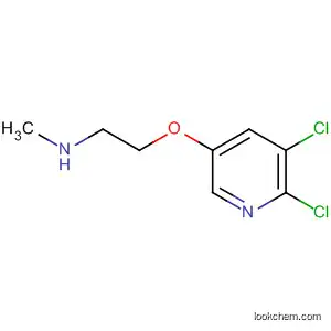 Molecular Structure of 850408-78-5 (Ethanamine, 2-[(5,6-dichloro-3-pyridinyl)oxy]-N-methyl-)