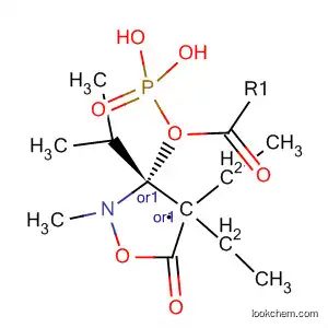Molecular Structure of 880480-16-0 (Phosphonic acid,
[(3R,4R)-2-methyl-3-(1-methylethyl)-5-oxo-4-isoxazolidinyl]-, diethyl
ester, rel-)