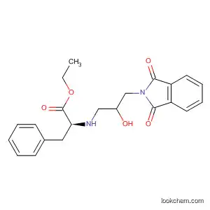 Molecular Structure of 882168-27-6 (L-Phenylalanine,
N-[3-(1,3-dihydro-1,3-dioxo-2H-isoindol-2-yl)-2-hydroxypropyl]-, ethyl
ester)