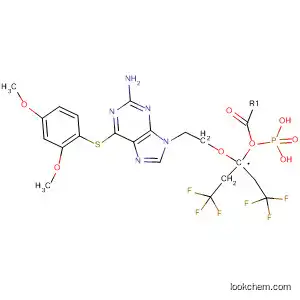 Molecular Structure of 889859-41-0 (Phosphonic acid,
[[2-[2-amino-6-[(2,4-dimethoxyphenyl)thio]-9H-purin-9-yl]ethoxy]methyl]-,
bis(2,2,2-trifluoroethyl) ester)