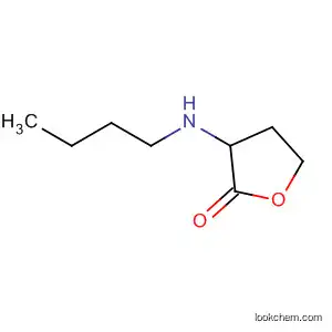 Molecular Structure of 99134-44-8 (2(3H)-Furanone, 3-(butylamino)dihydro-)