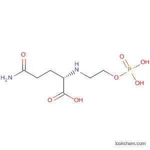Molecular Structure of 76267-44-2 (L-Glutamine, N-[2-(phosphonooxy)ethyl]-)
