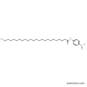 Molecular Structure of 137361-73-0 (Tetracosanamide, N-(4-nitrophenyl)-)