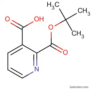 Molecular Structure of 142777-97-7 (2,3-Pyridinedicarboxylic acid, 2-(1,1-dimethylethyl) ester)