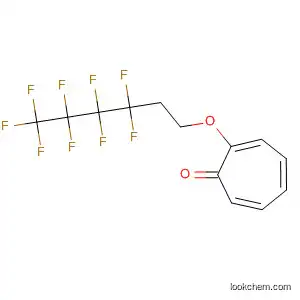 Molecular Structure of 195044-31-6 (2,4,6-Cycloheptatrien-1-one, 2-[(3,3,4,4,5,5,6,6,6-nonafluorohexyl)oxy]-)