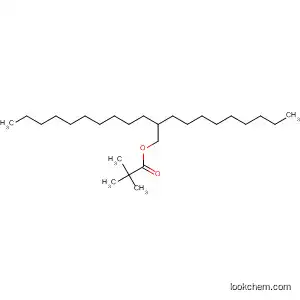 Molecular Structure of 195046-69-6 (Propanoic acid, 2,2-dimethyl-, 2-nonyldodecyl ester)