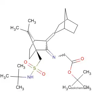 Molecular Structure of 195257-36-4 (Glycine,
N-[(1S,4R)-1-[[[(1,1-dimethylethyl)amino]sulfonyl]methyl]-7,7-dimethylbi
cyclo[2.2.1]hept-2-ylidene]-, 1,1-dimethylethyl ester)