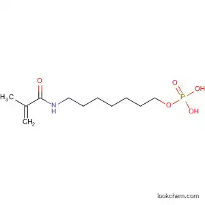 Molecular Structure of 404581-63-1 (2-Propenamide, 2-methyl-N-[7-(phosphonooxy)heptyl]-)