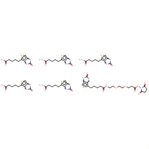 9-biotinlaMino-4,7-dioxanonanoic acid N-hydroxysucciniMidyl ester