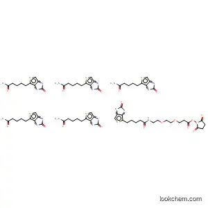 Molecular Structure of 596820-83-6 (9-biotinlaMino-4,7-dioxanonanoic acid N-hydroxysucciniMidyl ester)