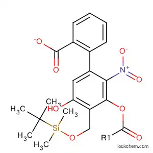 Molecular Structure of 596845-64-6 (Phenol, 2-[[[(1,1-dimethylethyl)dimethylsilyl]oxy]methyl]-4-nitro-,
benzoate (ester))