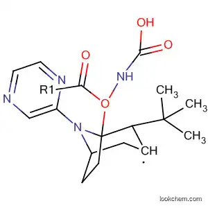 Molecular Structure of 599165-28-3 (Carbamic acid, [(3-endo)-8-pyrazinyl-8-azabicyclo[3.2.1]oct-3-yl]-,
1,1-dimethylethyl ester)