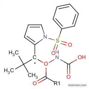Molecular Structure of 600164-84-9 (Carbamic acid, [[1-(phenylsulfonyl)-1H-pyrrol-2-yl]methyl]-,
1,1-dimethylethyl ester)