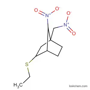 Molecular Structure of 600732-56-7 (Bicyclo[2.2.1]heptane, 3-(ethylthio)-7-nitro-1-(nitromethyl)-)