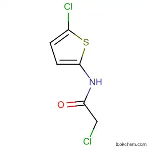 Molecular Structure of 881742-93-4 (Acetamide, 2-chloro-N-(5-chloro-2-thienyl)-)