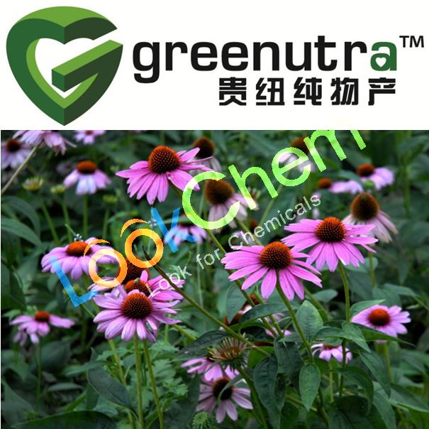 Competitive price  Echinacea purpurea extract 90028-20-9 in regular stock