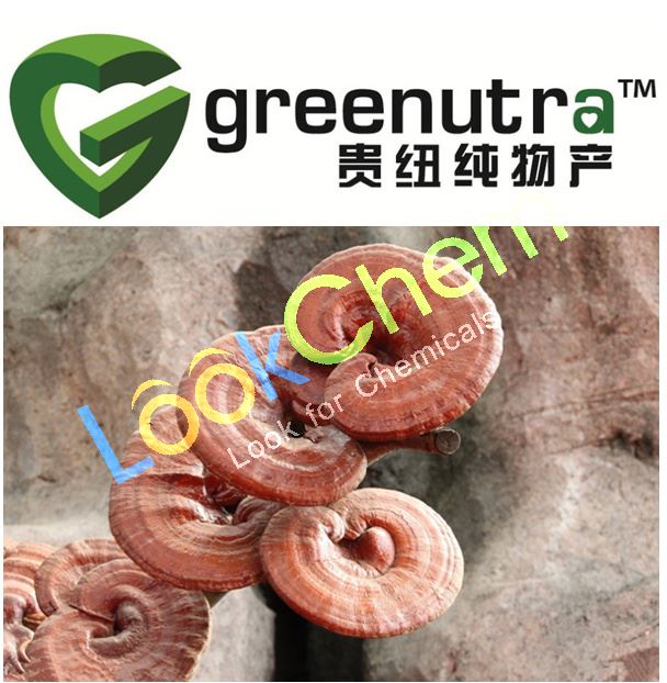 Reishi mushroom extract 223751-82-4 factory with fast delivery