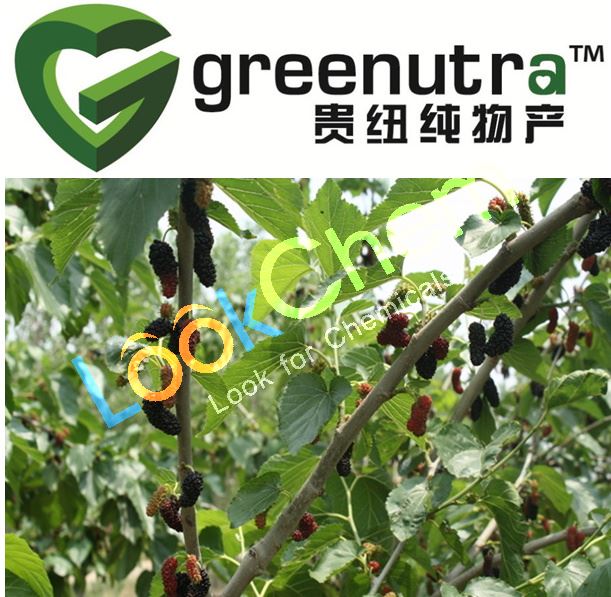 High quality Mulberry leaf extract 19130-96-2 on hot selling