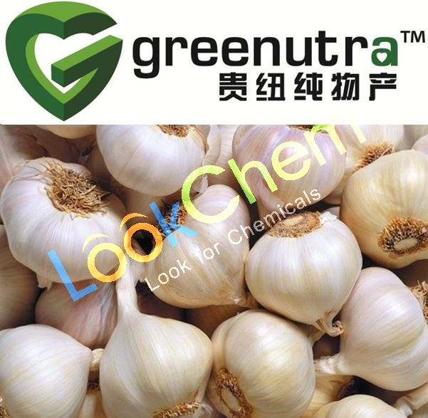 Offer first-class Garlic extract 539-86-6