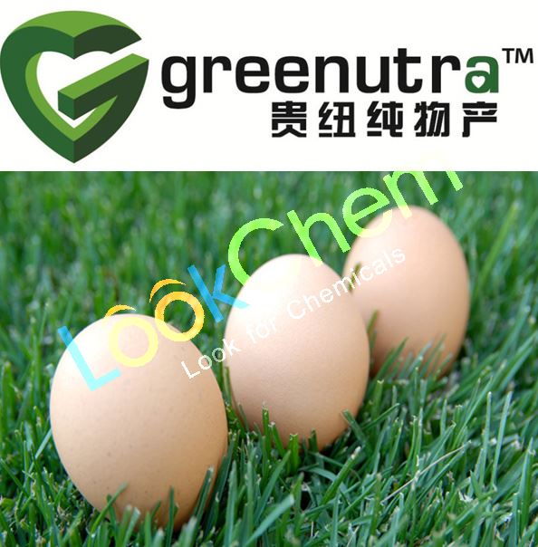 Egg white powder 9006-50-2 global trader with fast shipment 