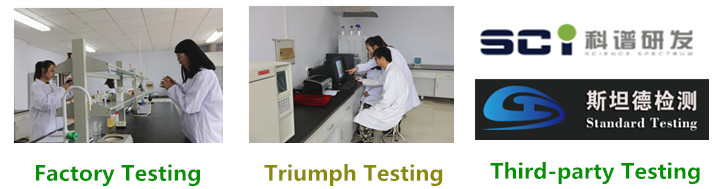 Triumph Testing way