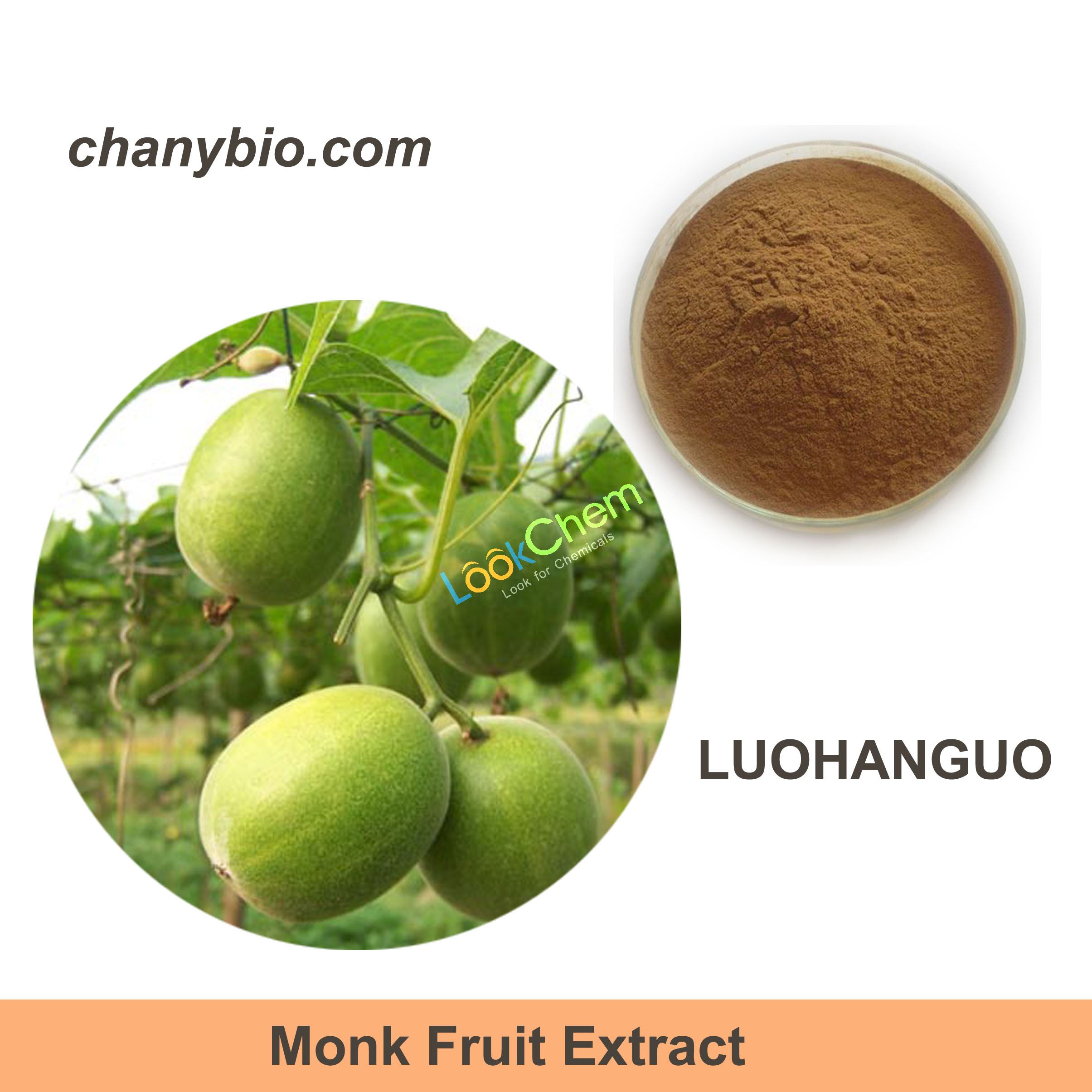 HPLC 25% 30% 50% 60% Siraitia grosvenorii Monk fruit extract,LuohanGuo extract,Mogrosides,Mogroside V